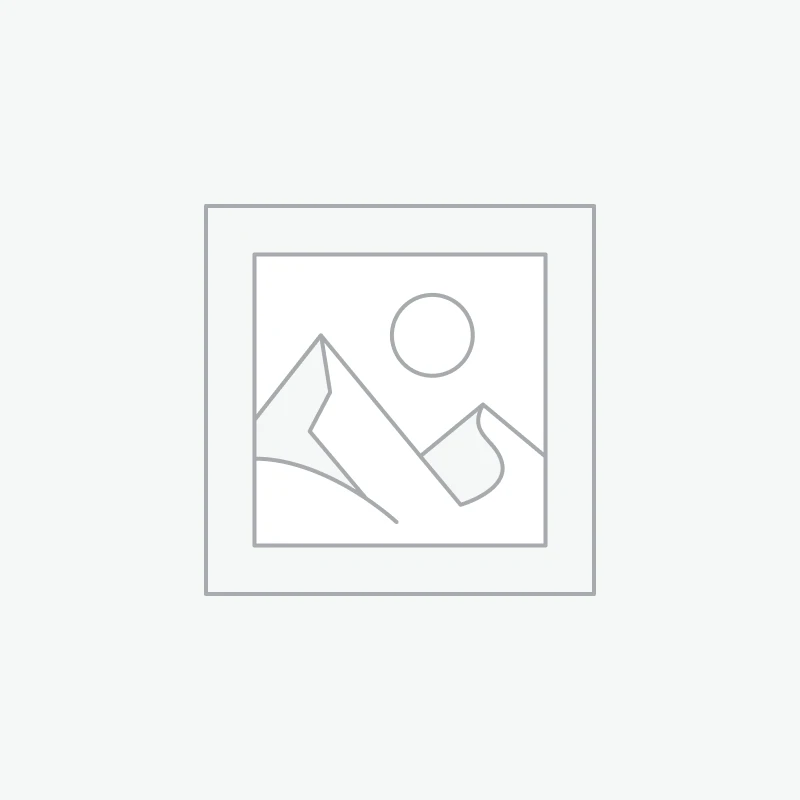 Dubai Silk two pieces